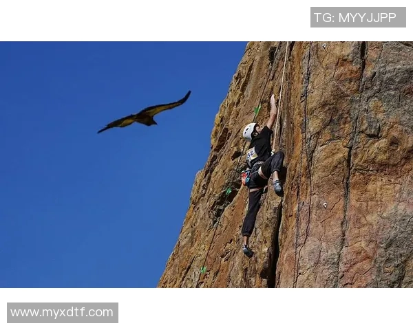 重庆攀岩队的盯防体系与攀岩战术的深度解析与应用探讨